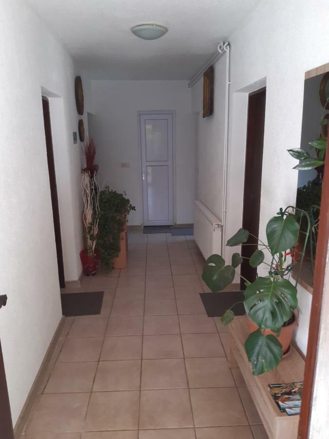 Rooms Luka Селище Дрезницко Екстериор снимка